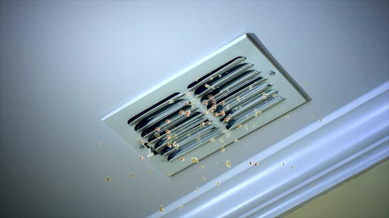Best Commercial Air Duct Cleaning  in Wurtland, KY