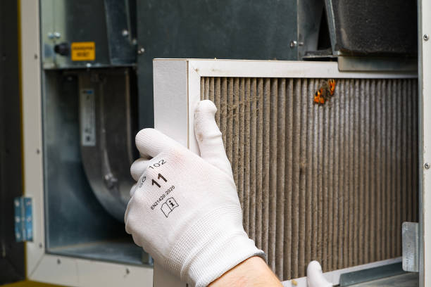 Best HVAC Duct Inspection Services  in Wurtland, KY