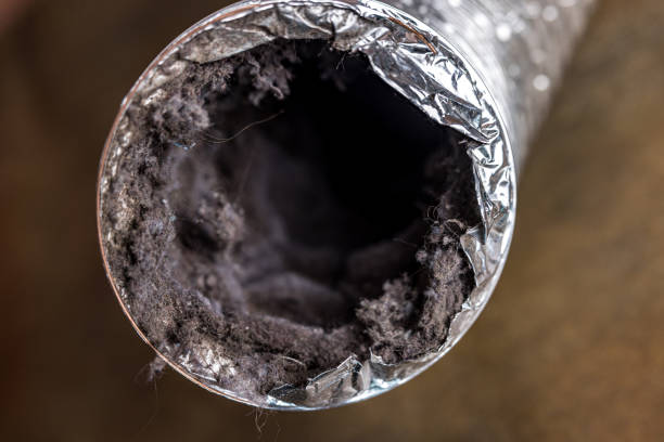 Best Commercial HVAC Duct Cleaning  in Wurtland, KY