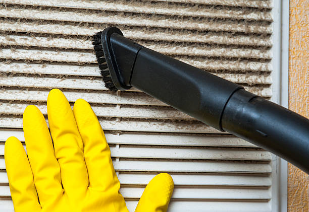 Best Duct Cleaning for Homes  in Wurtland, KY